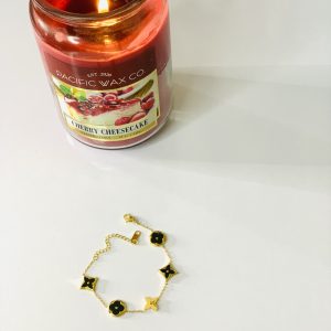 New look stainless bracy